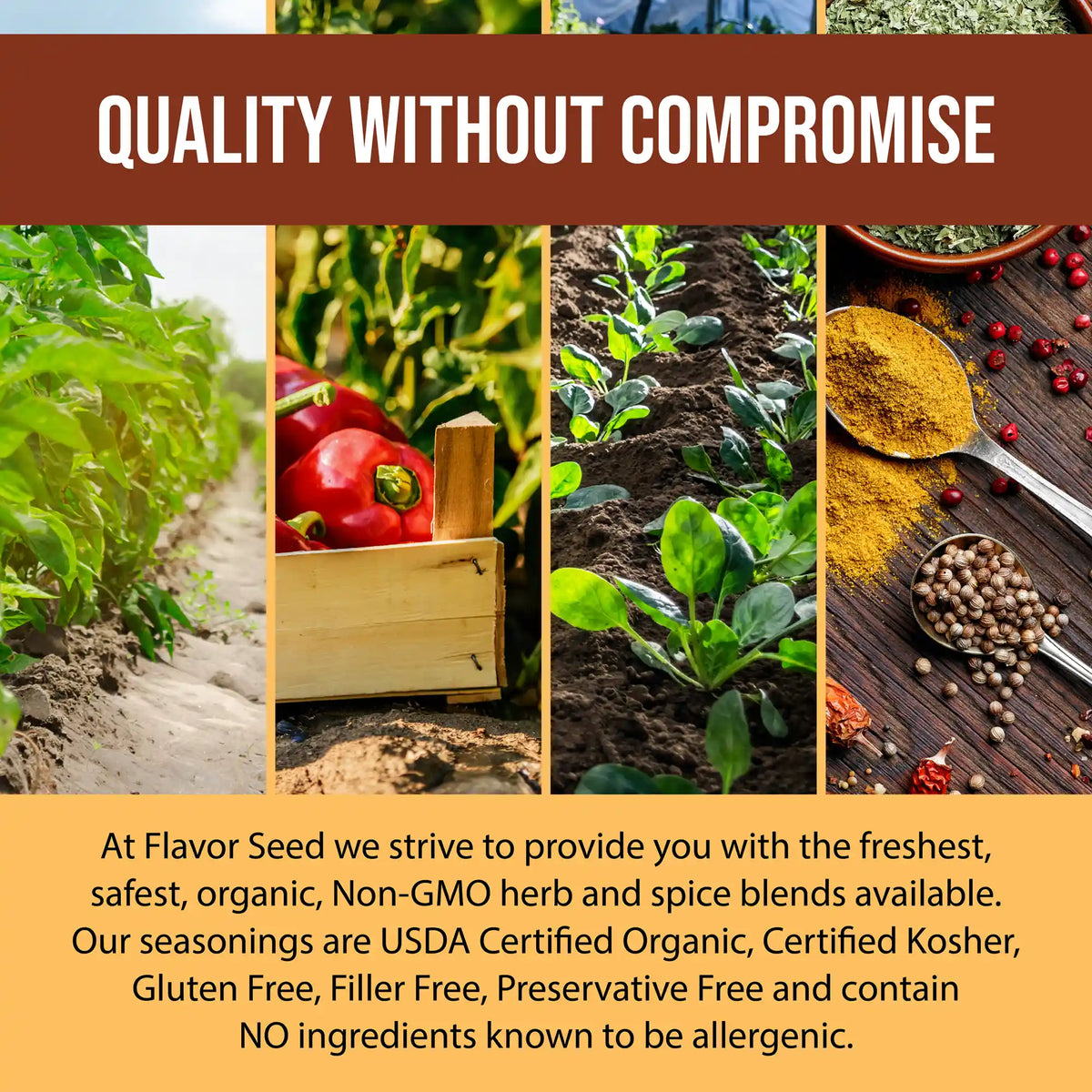 Flavor Seed only uses the freshest, safest, organic ingredients