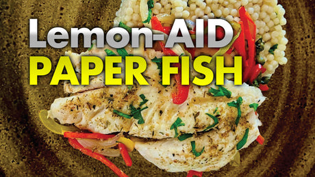 Lemon-AID Paper Fish