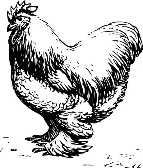 Poultry Seasonings - Flavor Seed