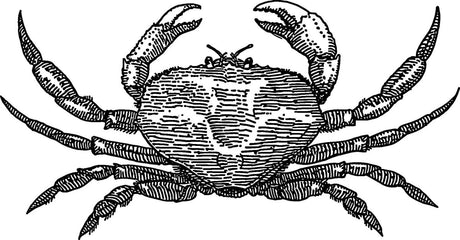 Seafood Seasonings - Flavor Seed