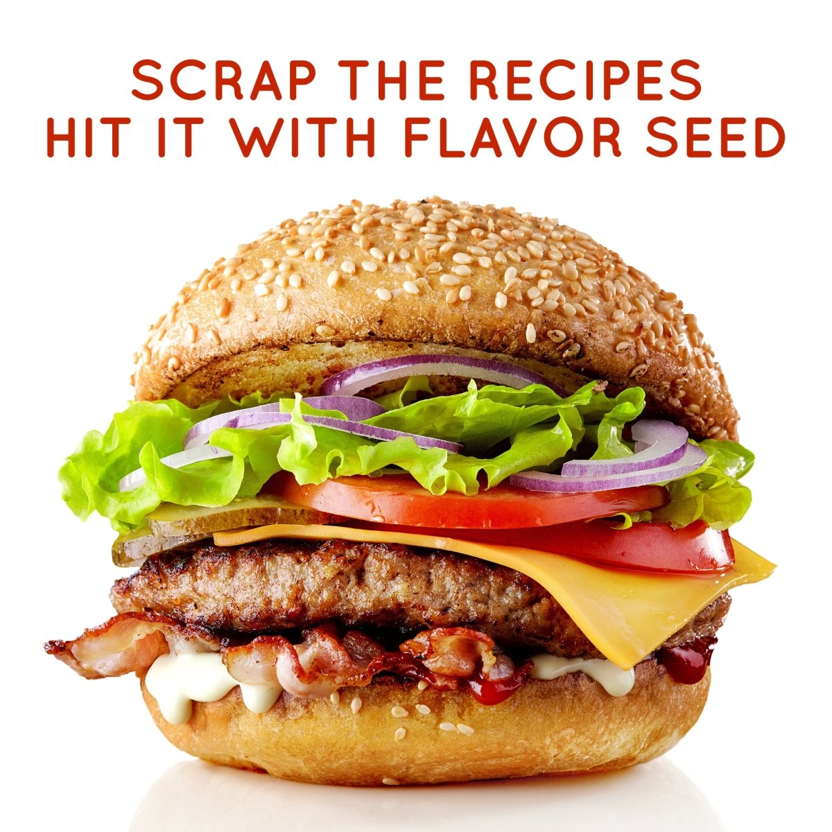 Flavor Seed Haaaaam-Burger Organic Hamburger Seasoning, Seasoning Salt &  French Fry Seasoning. Gluten Free Seasonings And Spices For Cooking. Plant